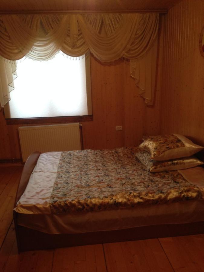 Карпатська Перлина Apartamento Iltsi Exterior foto