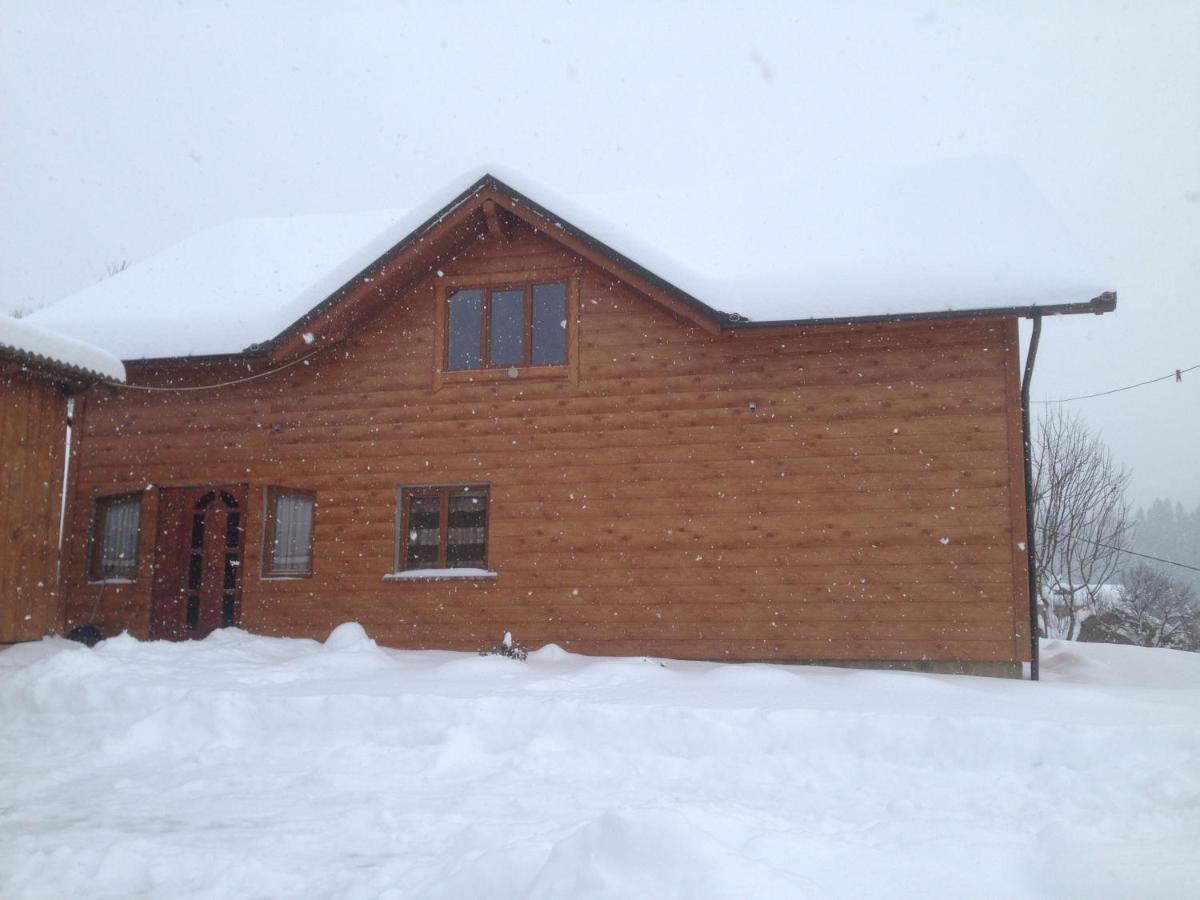 Карпатська Перлина Apartamento Iltsi Exterior foto
