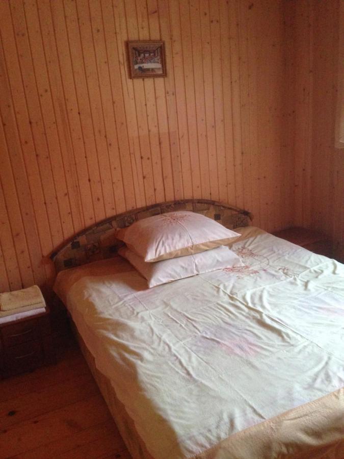 Карпатська Перлина Apartamento Iltsi Exterior foto