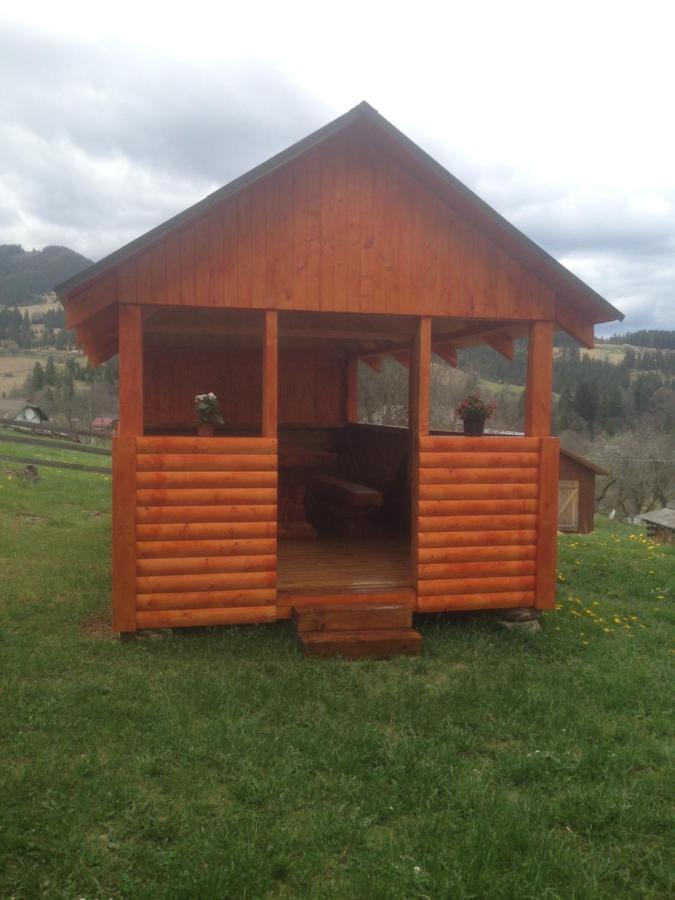 Карпатська Перлина Apartamento Iltsi Exterior foto